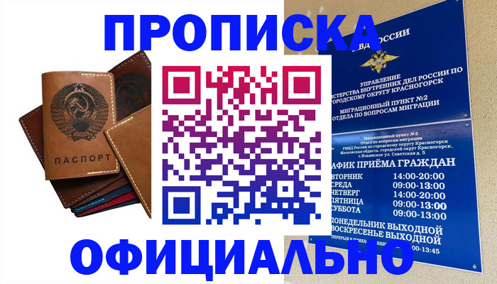 временная прописка в Зее